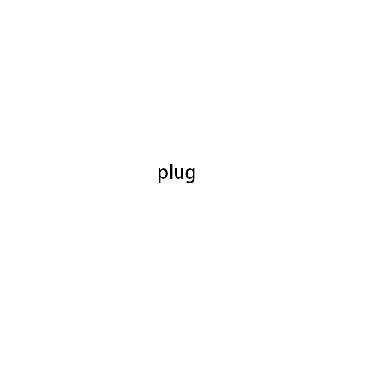 plug